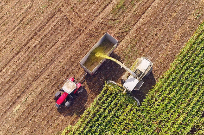 ADECA NEWS - Fevereiro/2026.jpg