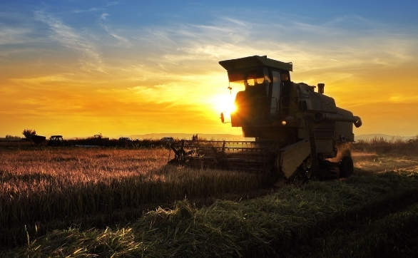Pressão no campo: o que explica o salto nas recuperações judiciais e extrajudiciais no agro.jpg