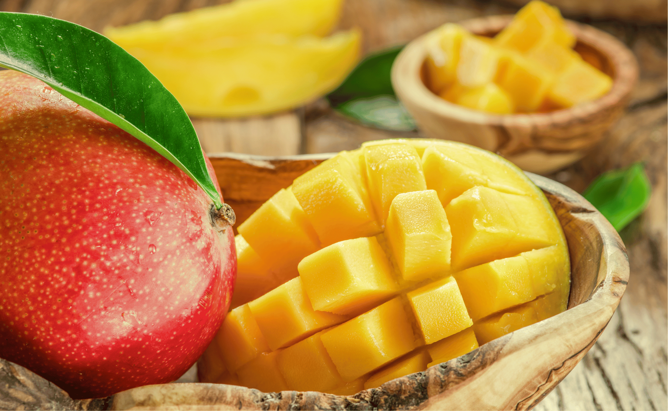 ADECA NEWS - Outubro/2025.png