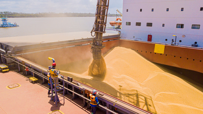 Exportações de soja recuam em fevereiro, mas seguem acima do ano passado.png