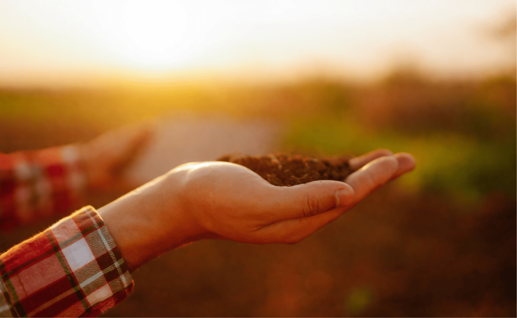 ADECA NEWS - Fevereiro/2026