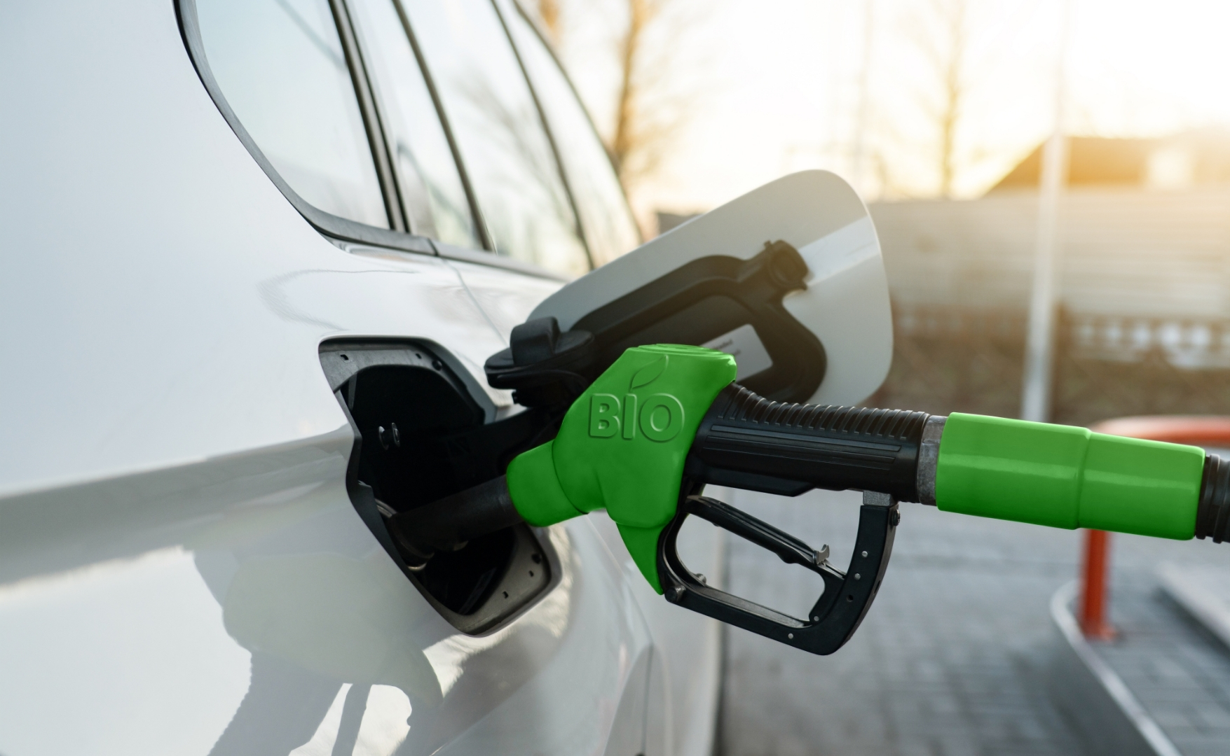Perspectivas do Mercado de Trabalho na Cadeia da Soja e do Biodiesel.jpg