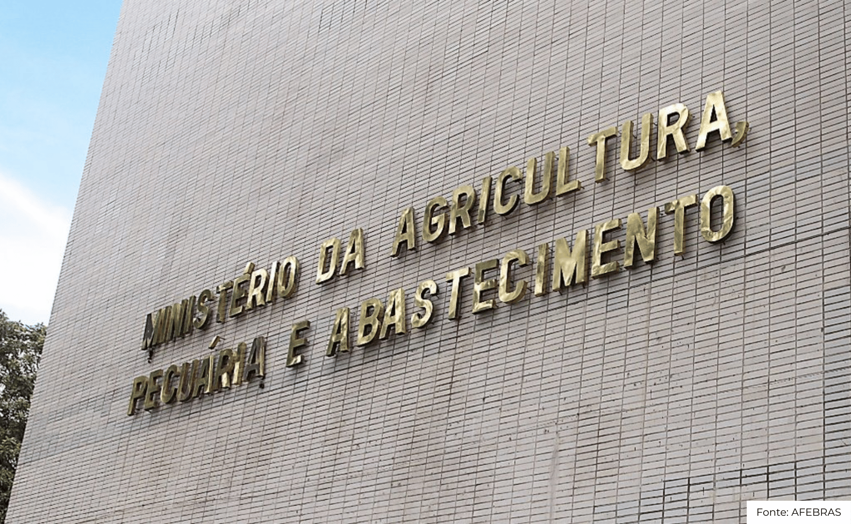 Importância do Plano Safra para o agronegócio brasileiro.png