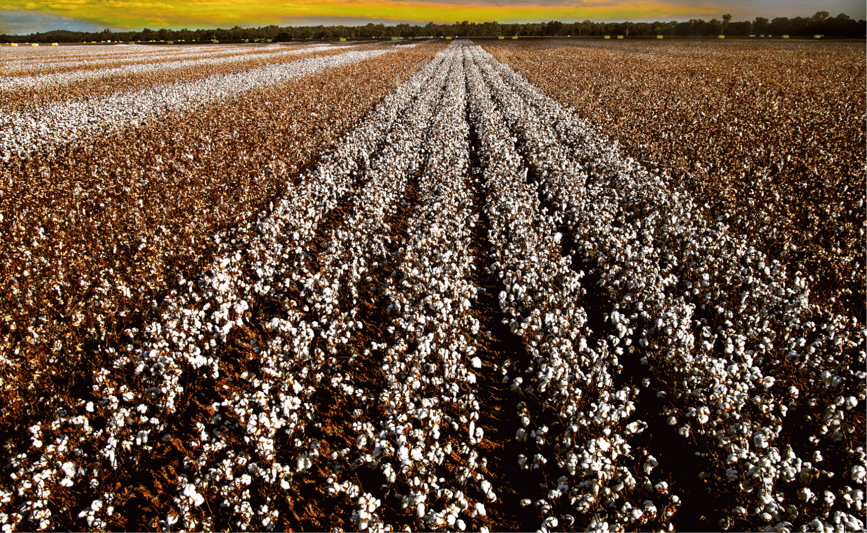 ADECA NEWS - Setembro/2025.png