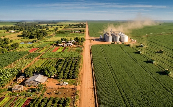 Terra, Capital e Produtividade: Os Dilemas da Reforma Agrária no Desenvolvimento Econômico Brasileiro.jpg