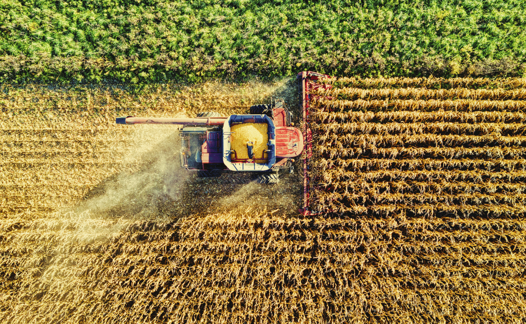 Plano Safra 2025/26: R$ 516,2 bilhões para impulsionar o agronegócio.png