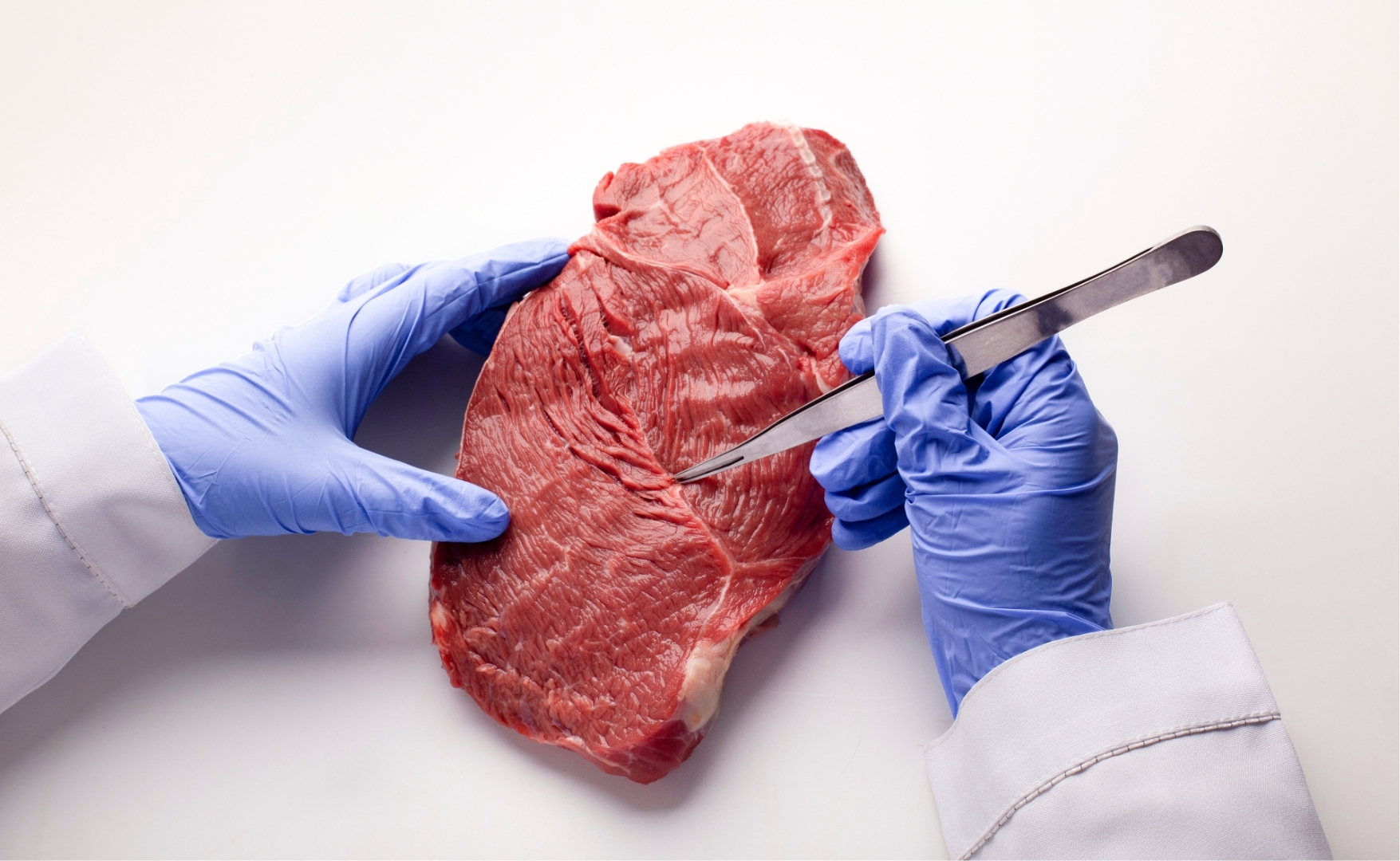 Carne brasileira na UE: da exclusão sanitária ao impasse diplomático.jpg