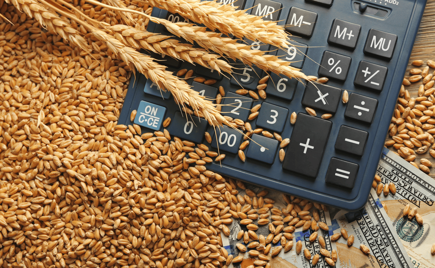 Métodos de financiamento no agronegócio.png