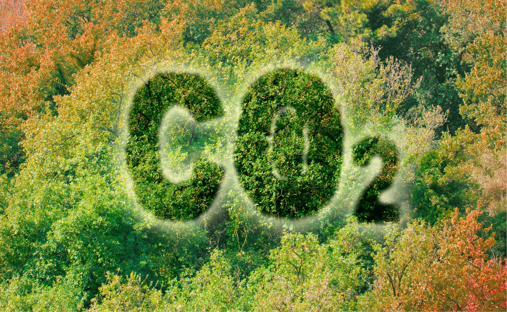 Mercado de carbono brasileiro avança em junho com inclusão do agronegócio no cronograma regulatório.png