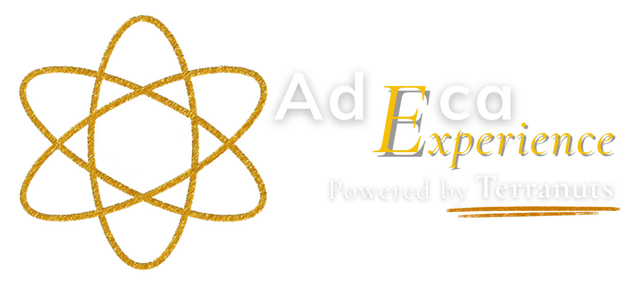 H_logo Adeca Exp.png