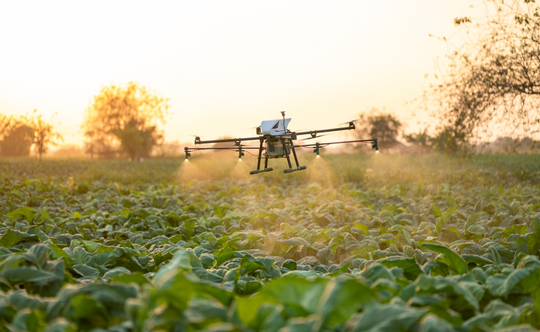 Modernização no campo: como a expansão do uso de drones está reconfigurando o agronegócio brasileiro.jpg