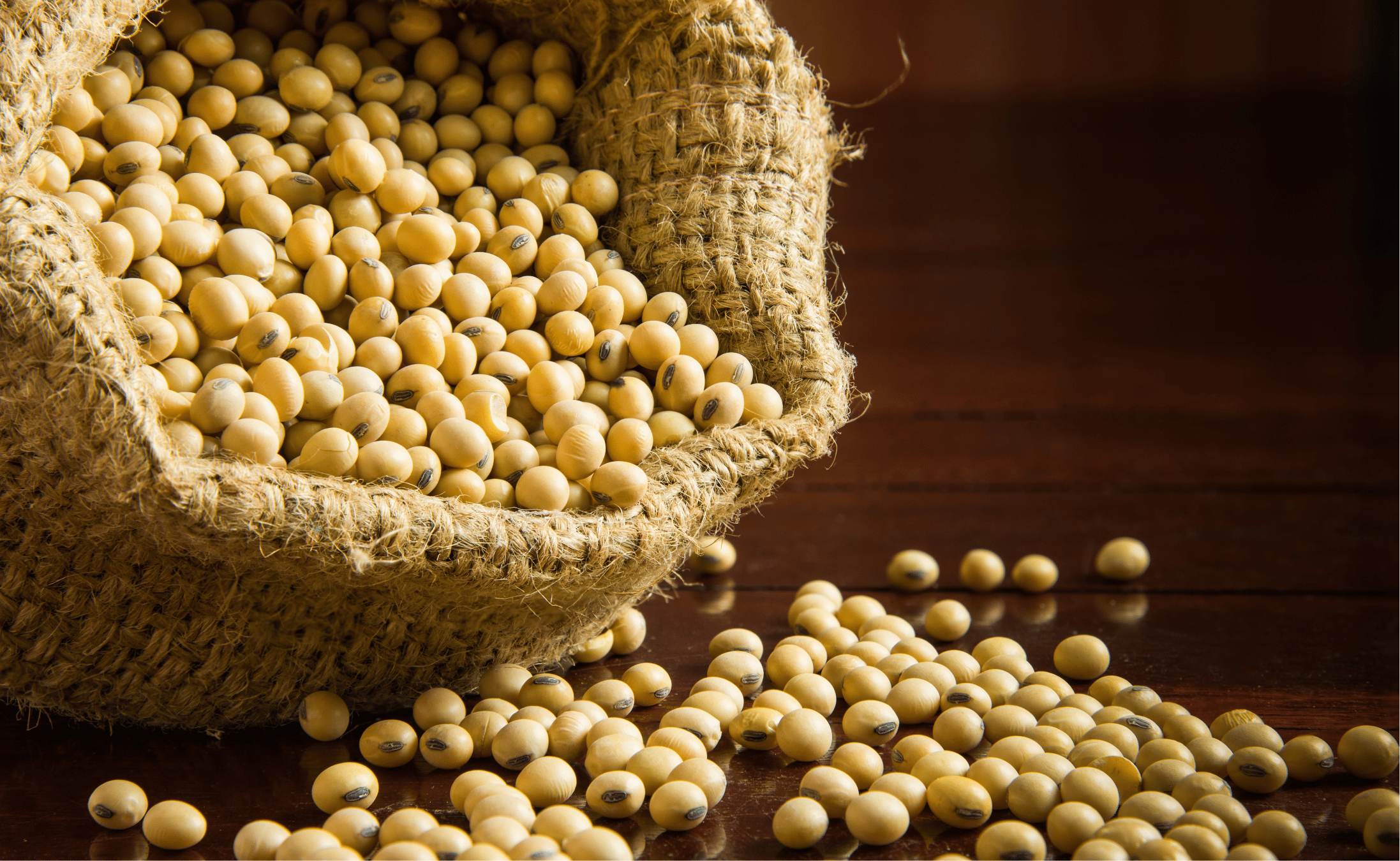 Safra recorde e intensificação do processamento de grãos indicam uma forte alta no PIB da cadeia de soja e biodiesel.png