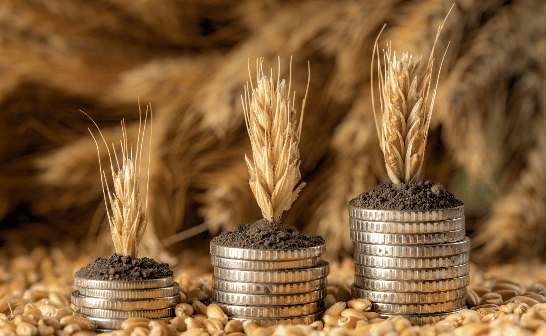 Crédito Rural no Brasil apresentou aumento de 7% no Plano Safra 2025/2026 e impulsiona mudanças no perfil de oportunidades no mercado de trabalho do agronegócio